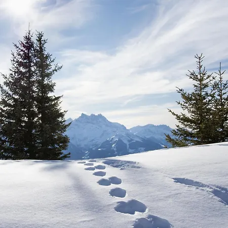 Apartamento Cristel 2 By Interhome *