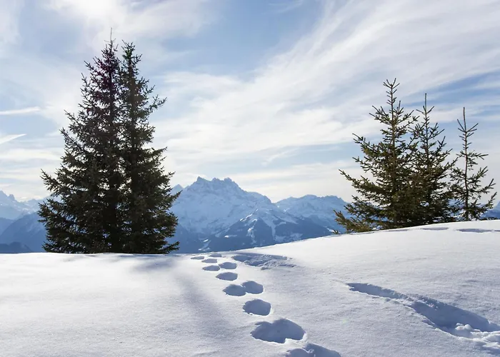 Apartamento Cristel 2 By Interhome *